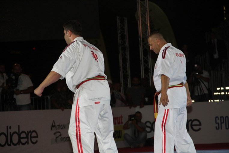 Martial Arts Festival